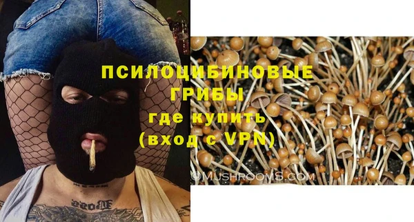 марки lsd Белоозёрский