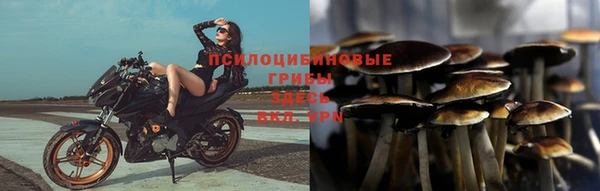 ALPHA PVP Покровск