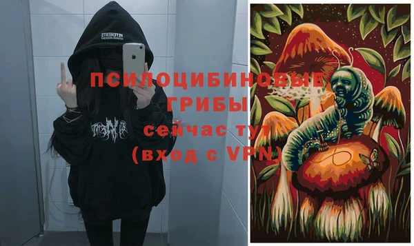 Альфа ПВП Белокуриха