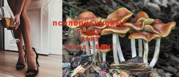 Альфа ПВП Белокуриха