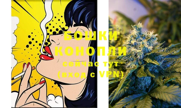 Альфа ПВП Белокуриха