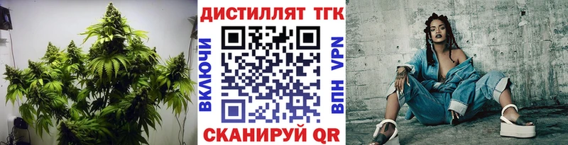 где купить наркоту  Курчалой  Дистиллят ТГК гашишное масло 