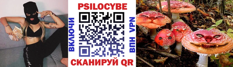 закладка  Курчалой  OMG сайт  Галлюциногенные грибы Psilocybe 